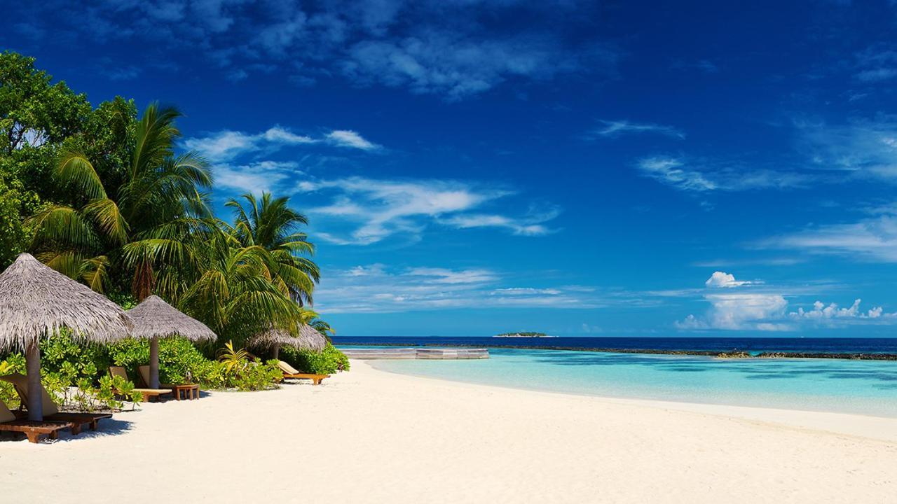 Corales Hotel 3*
